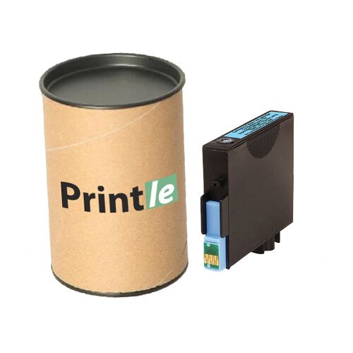 C13T04854010 Epson T0485, C13T04854010