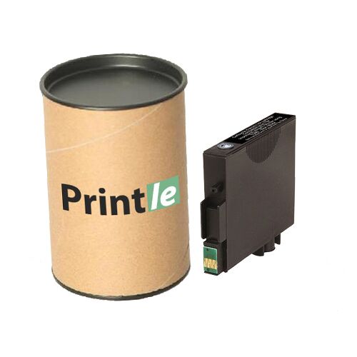 Epson T0481, C13T04814010