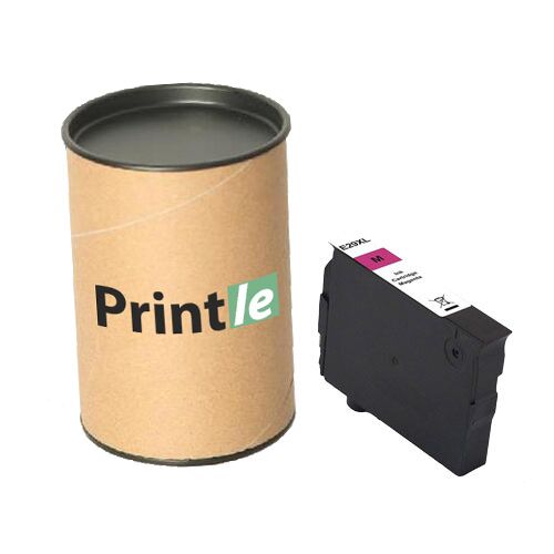 Epson 29XL, C13T29934012